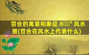 百合的寓意和象征 🐳 风水图(百合在风水上代表什么)